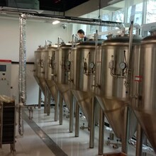 匠心酿造，品味非凡 山东德朗机械制造引领自酿啤酒设备新潮流