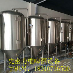 探索山西自酿啤酒设备的专业制造与加盟机遇